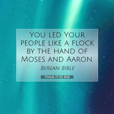 Picture 07 - Psalm 77:20 BSB - You led Your people like a flock by the hand of - Bible Verse Picture