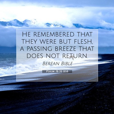 Picture 07 - Psalm 78:39 BSB - He remembered that they were but flesh, a passing - Bible Verse Picture