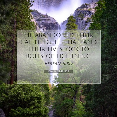 Picture 07 - Psalm 78:48 BSB - He abandoned their cattle to the hail and their - Bible Verse Picture