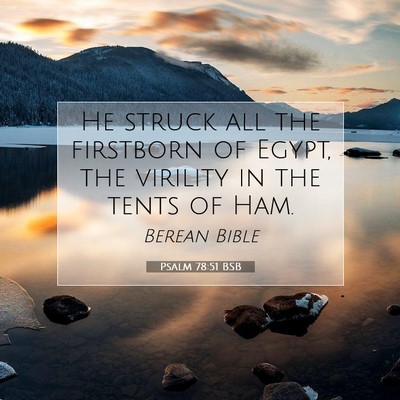 Picture 07 - Psalm 78:51 BSB - He struck all the firstborn of Egypt, the - Bible Verse Picture