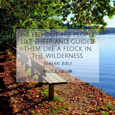 Picture 07 - Psalm 78:52 BSB - He led out His people like sheep and guided them - Bible Verse Picture