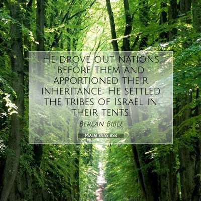 Picture 07 - Psalm 78:55 BSB - He drove out nations before them and apportioned - Bible Verse Picture