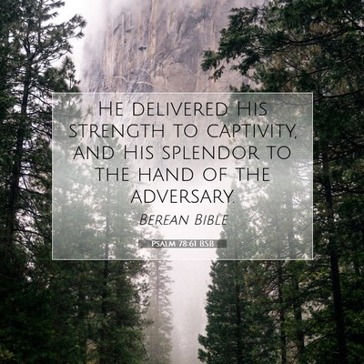 Picture 07 - Psalm 78:61 BSB - He delivered His strength to captivity, and His - Bible Verse Picture