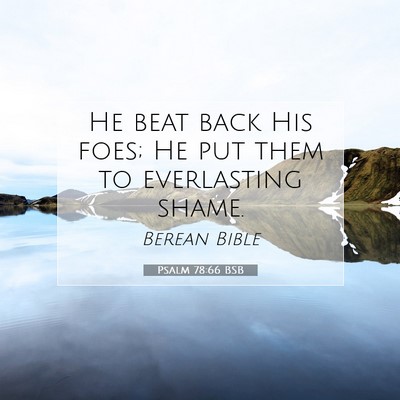 Picture 07 - Psalm 78:66 BSB - He beat back His foes; He put them to everlasting - Bible Verse Picture