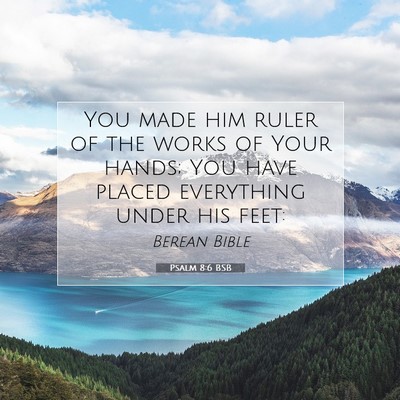 Picture 07 - Psalm 8:6 BSB - You made him ruler of the works of Your hands; - Bible Verse Picture