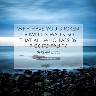Picture 07 - Psalm 80:12 BSB - Why have You broken down its walls, so that all - Bible Verse Picture