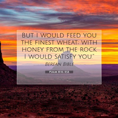 Picture 07 - Psalm 81:16 BSB - But I would feed you the finest wheat; with honey - Bible Verse Picture
