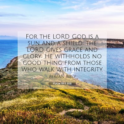 Picture 07 - Psalm 84:11 BSB - For the LORD God is a sun and a shield; the LORD - Bible Verse Picture