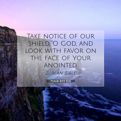Picture 07 - Psalm 84:9 BSB - Take notice of our shield, O God, and look with - Bible Verse Picture
