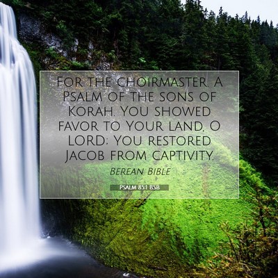 Picture 07 - Psalm 85:1 BSB - For the choirmaster. A Psalm of the sons of - Bible Verse Picture