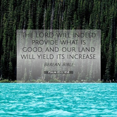 Picture 07 - Psalm 85:12 BSB - The LORD will indeed provide what is good, and - Bible Verse Picture