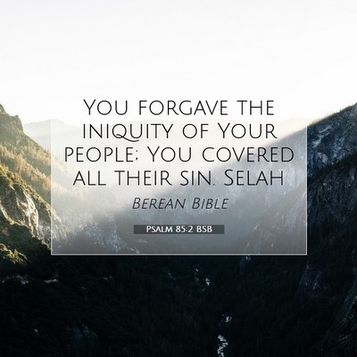 Picture 07 - Psalm 85:2 BSB - You forgave the iniquity of Your people; You - Bible Verse Picture