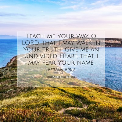 Picture 07 - Psalm 86:11 BSB - Teach me Your way, O LORD, that I may walk in - Bible Verse Picture