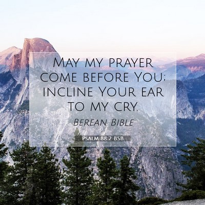Picture 07 - Psalm 88:2 BSB - May my prayer come before You; incline Your ear - Bible Verse Picture