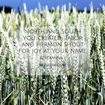 Picture 07 - Psalm 89:12 BSB - North and south You created; Tabor and Hermon - Bible Verse Picture