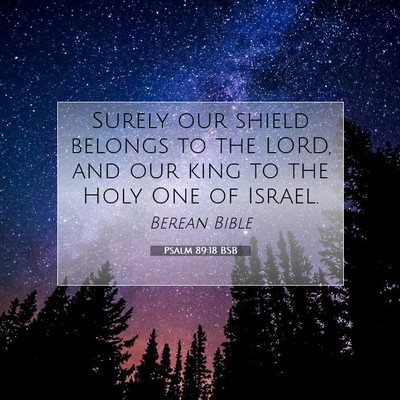 Picture 07 - Psalm 89:18 BSB - Surely our shield belongs to the LORD, and our - Bible Verse Picture