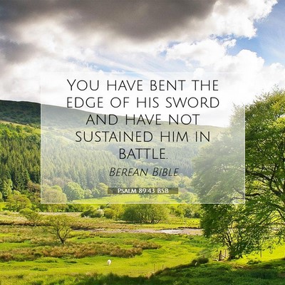 Picture 07 - Psalm 89:43 BSB - You have bent the edge of his sword and have not - Bible Verse Picture