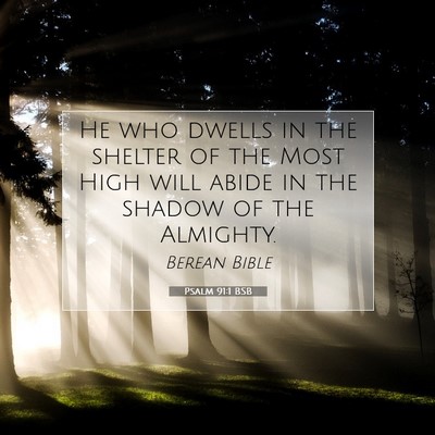 Picture 07 - Psalm 91:1 BSB - He who dwells in the shelter of the Most High - Bible Verse Picture