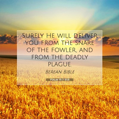 Picture 07 - Psalm 91:3 BSB - Surely He will deliver you from the snare of the - Bible Verse Picture