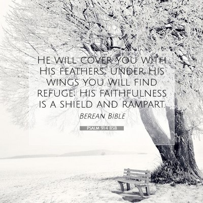 Picture 07 - Psalm 91:4 BSB - He will cover you with His feathers; under His - Bible Verse Picture