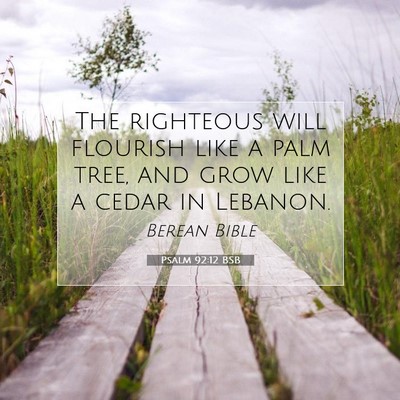 Picture 07 - Psalm 92:12 BSB - The righteous will flourish like a palm tree, and - Bible Verse Picture