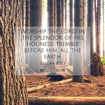 Picture 07 - Psalm 96:9 BSB - Worship the LORD in the splendor of His holiness; - Bible Verse Picture