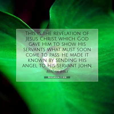 Picture 07 - Revelation 1:1 BSB - This is the revelation of Jesus Christ, which God - Bible Verse Picture