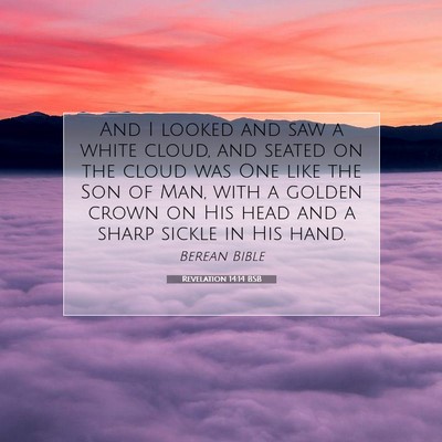 Picture 07 - Revelation 14:14 BSB - And I looked and saw a white cloud, and seated on - Bible Verse Picture