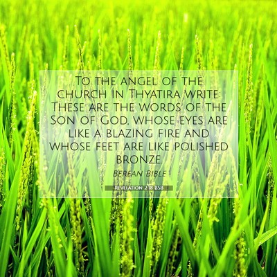 Picture 07 - Revelation 2:18 BSB - To the angel of the church in Thyatira write: - Bible Verse Picture
