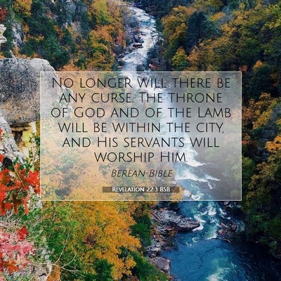 Picture 07 - Revelation 22:3 BSB - No longer will there be any curse. The throne of - Bible Verse Picture