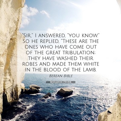 Picture 07 - Revelation 7:14 BSB - “Sir,” I answered, “you know.” So he - Bible Verse Picture