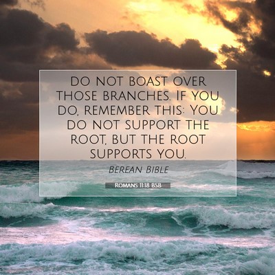 Picture 07 - Romans 11:18 BSB - do not boast over those branches. If you do, - Bible Verse Picture