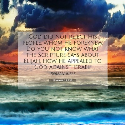 Picture 07 - Romans 11:2 BSB - God did not reject His people, whom He foreknew. - Bible Verse Picture