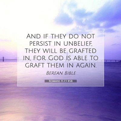 Picture 07 - Romans 11:23 BSB - And if they do not persist in unbelief, they will - Bible Verse Picture