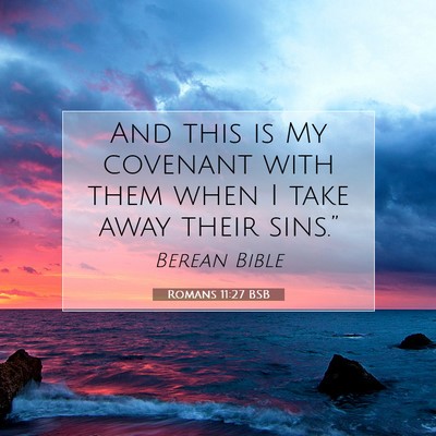 Picture 07 - Romans 11:27 BSB - And this is My covenant with them when I take - Bible Verse Picture