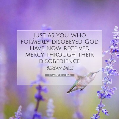 Picture 07 - Romans 11:30 BSB - Just as you who formerly disobeyed God have now - Bible Verse Picture