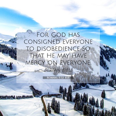 Picture 07 - Romans 11:32 BSB - For God has consigned everyone to disobedience so - Bible Verse Picture