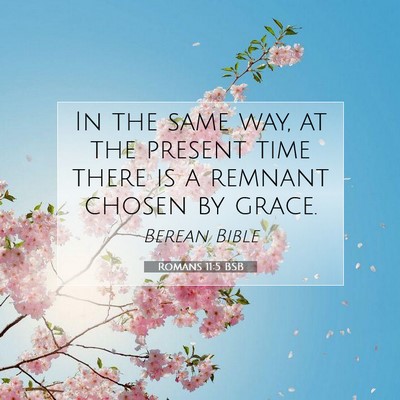 Picture 07 - Romans 11:5 BSB - In the same way, at the present time there is a - Bible Verse Picture
