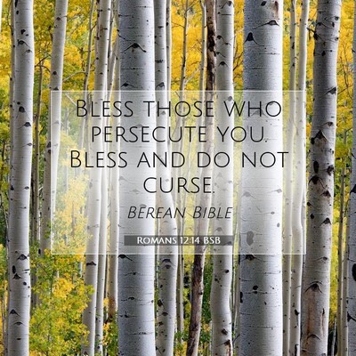 Picture 07 - Romans 12:14 BSB - Bless those who persecute you. Bless and do not - Bible Verse Picture