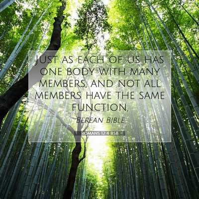 Picture 07 - Romans 12:4 BSB - Just as each of us has one body with many - Bible Verse Picture