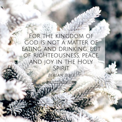Picture 07 - Romans 14:17 BSB - For the kingdom of God is not a matter of eating - Bible Verse Picture