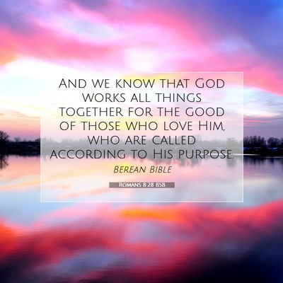 Picture 07 - Romans 8:28 BSB - And we know that God works all things together - Bible Verse Picture