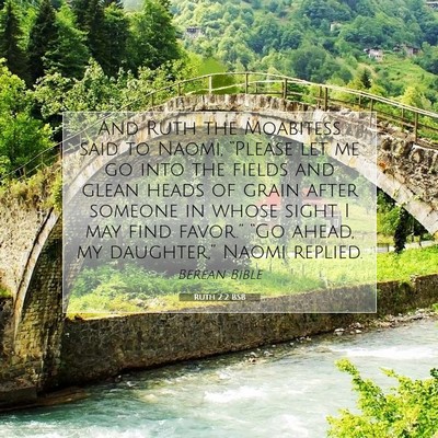 Picture 07 - Ruth 2:2 BSB - And Ruth the Moabitess said to Naomi, “Please - Bible Verse Picture