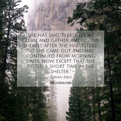 Picture 07 - Ruth 2:7 BSB - She has said, ‘Please let me glean and gather - Bible Verse Picture