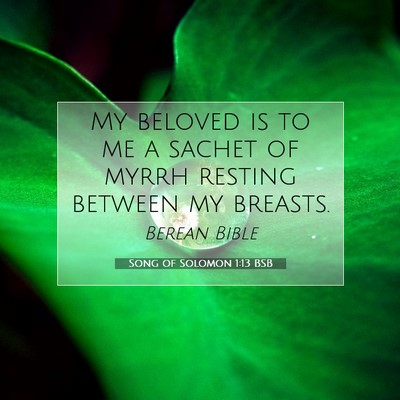 Picture 07 - Song of Solomon 1:13 BSB - My beloved is to me a sachet of myrrh resting - Bible Verse Picture