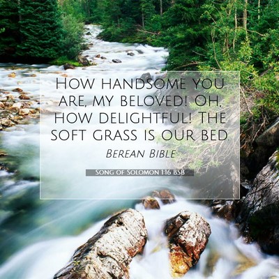 Picture 07 - Song of Solomon 1:16 BSB - How handsome you are, my beloved! Oh, how - Bible Verse Picture