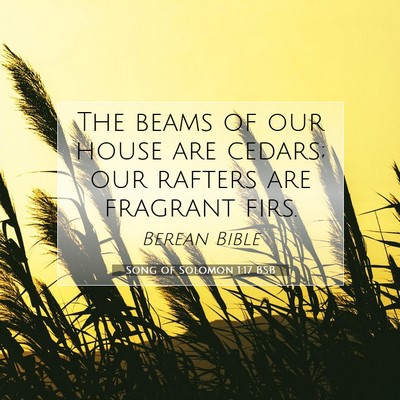 Picture 07 - Song of Solomon 1:17 BSB - The beams of our house are cedars; our rafters - Bible Verse Picture