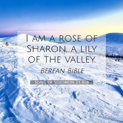 Picture 07 - Song of Solomon 2:1 BSB - I am a rose of Sharon, a lily of the - Bible Verse Picture