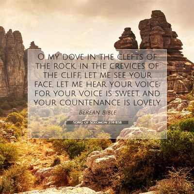 Picture 07 - Song of Solomon 2:14 BSB - O my dove in the clefts of the rock, in the - Bible Verse Picture