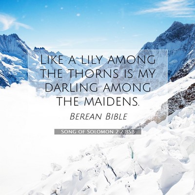Picture 07 - Song of Solomon 2:2 BSB - Like a lily among the thorns is my darling among - Bible Verse Picture